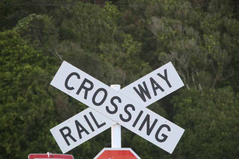 Nieuw-Zeeland 2011 - 1397